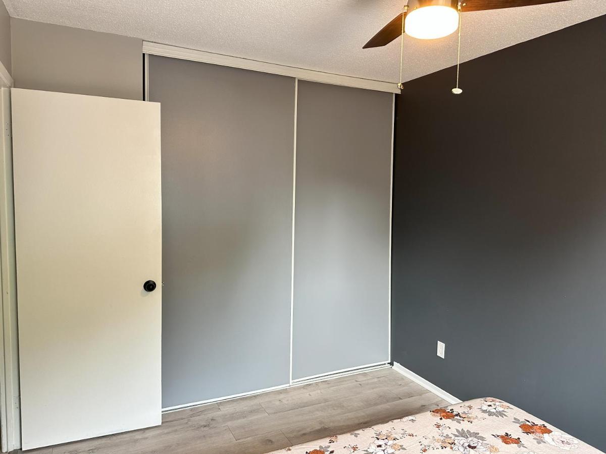 Castlerooms Homestay Отава Екстериор снимка
