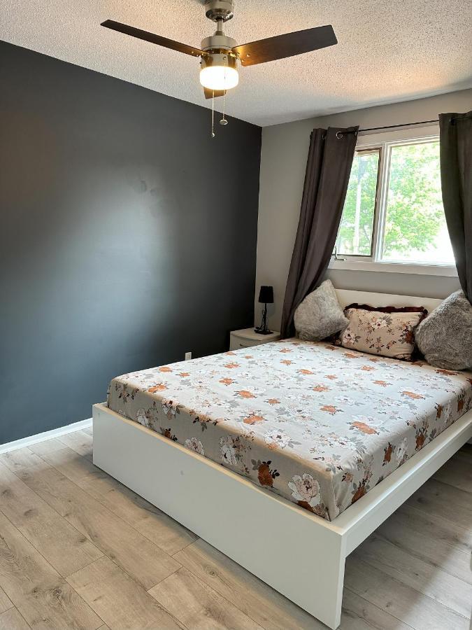 Castlerooms Homestay Отава Екстериор снимка