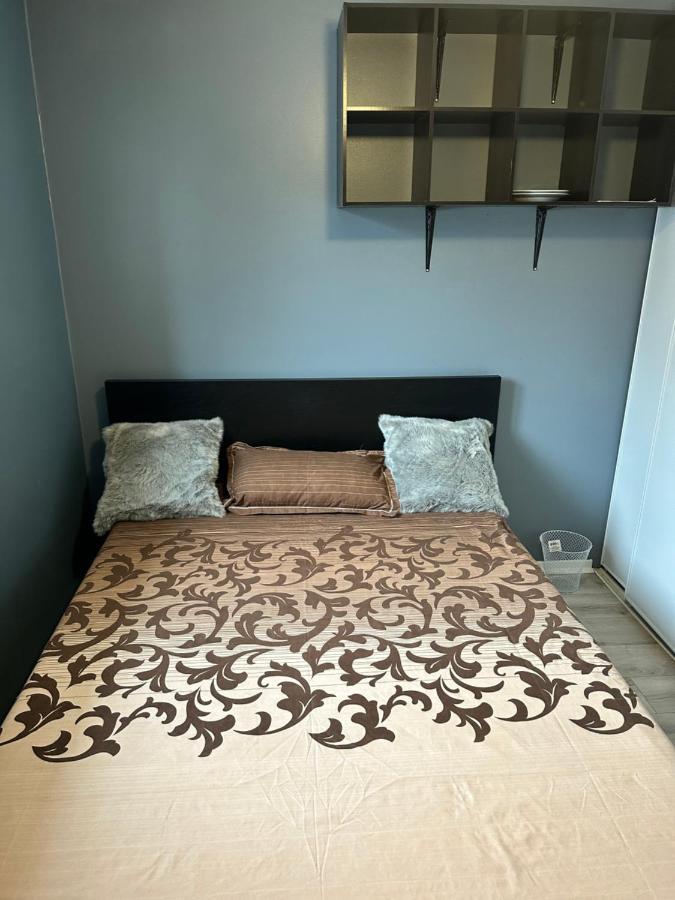 Castlerooms Homestay Отава Екстериор снимка
